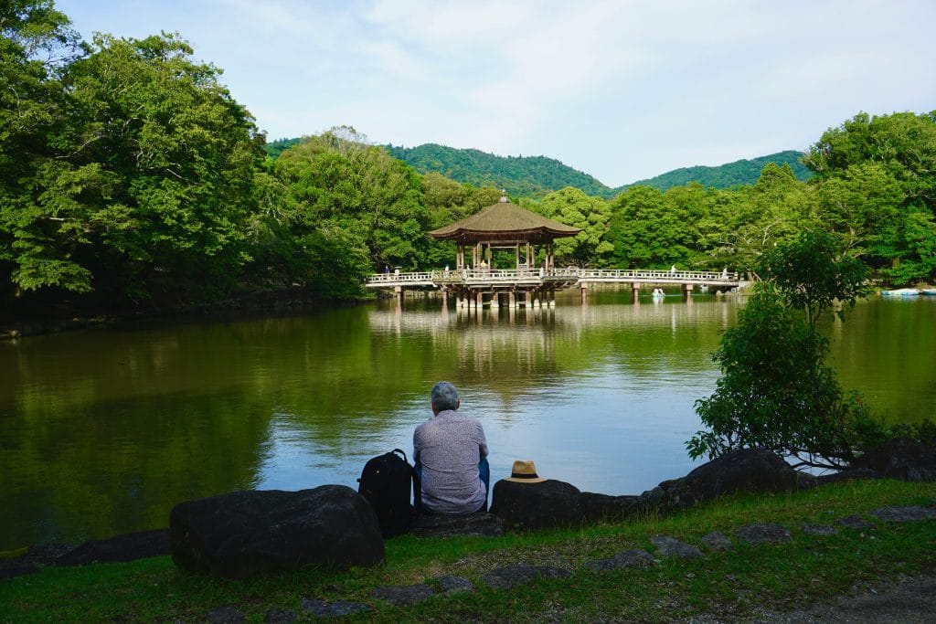 The Architecture of Silence: How Japan Designs for Calm